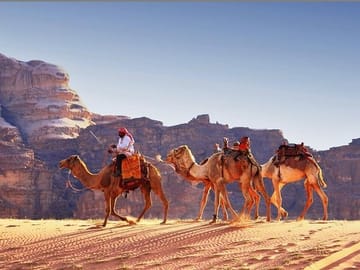 Camel ride in Wadi Rum
