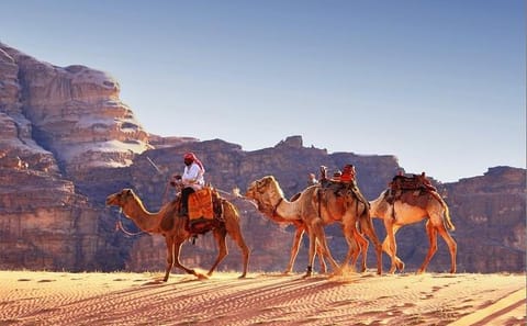 Private Day Trip to Wadi Rum Desert from Dead Sea