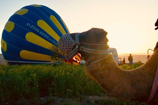 Cappadocia: Sunrise Camel Safari 4