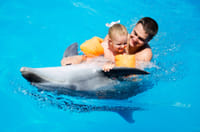 Premium 10 Minutes Dolphin Swimming Experience - Hurghada 3