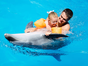 Premium 10 Minutes Dolphin Swimming Experience – Hurghada