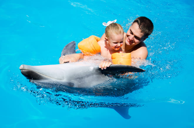 Premium 10 Minutes Dolphin Swimming Experience - Hurghada photo 3