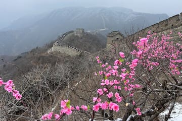 Beijing Layover Tour to Mutianyu Great Wall in 4-5 Hours