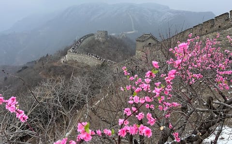 Beijing Layover Tour to Mutianyu Great Wall in 4-5 Hours