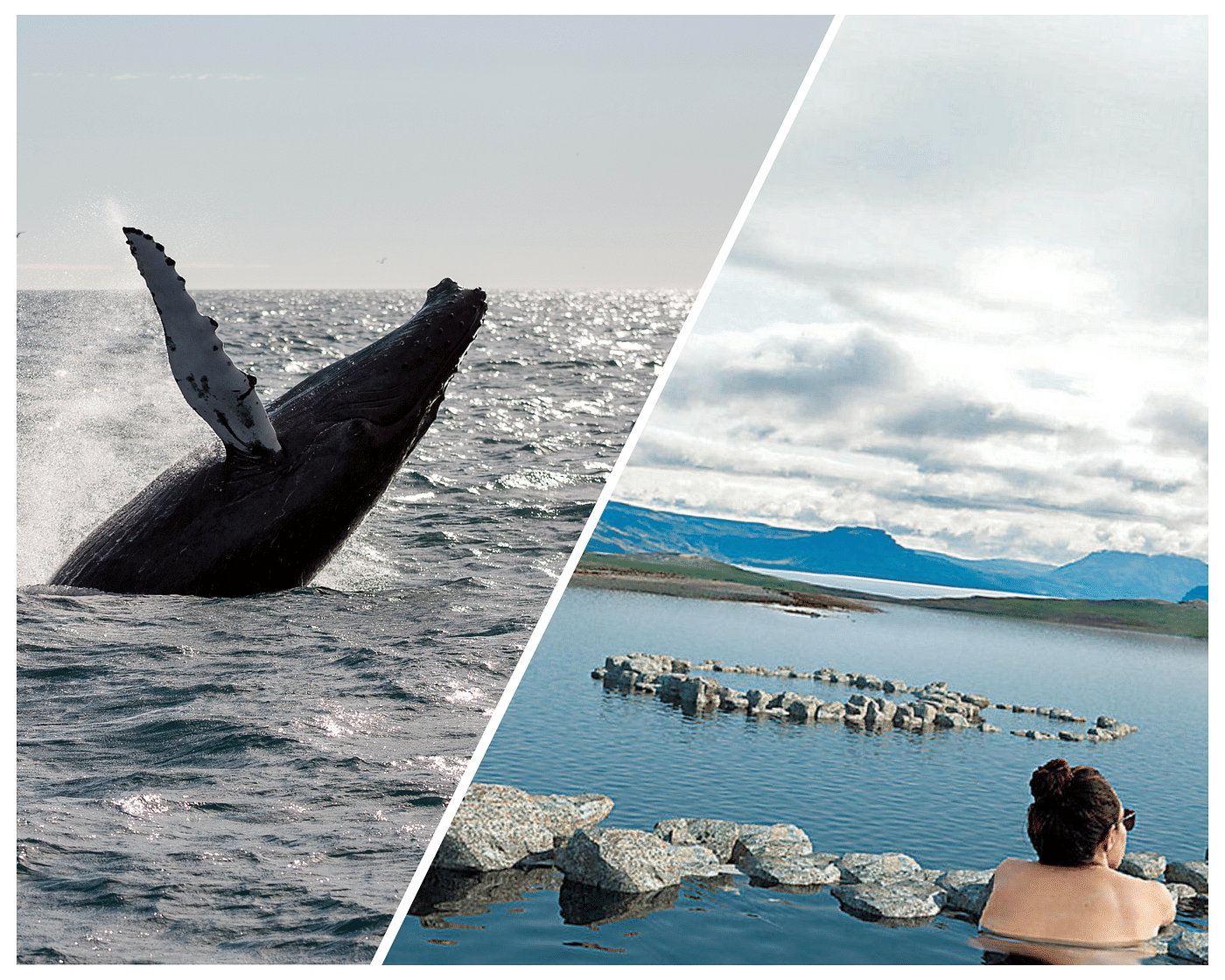 Whale Watching & Relaxation at Hvammsvík Hot Springs in Reykjavik