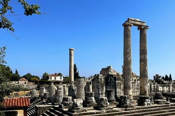 Private Guided Tour from Izmir to Didyma with Transportation