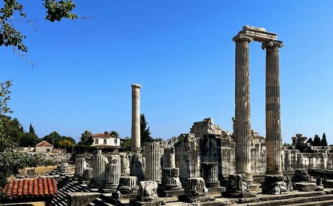 Private Guided Day Tour from Izmir to Didyma and Ancient Sites