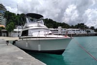 Private Deep Sea Fishing in Montego Bay  1