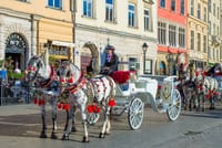 Krakow Private walking Tour With A Professional Guide 3