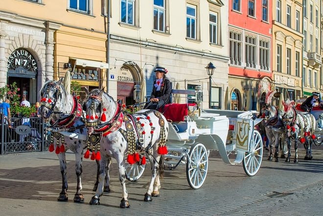 Krakow Private walking Tour With A Professional Guide photo 3