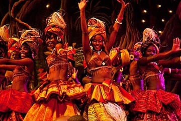 Safari Park Hotel Cat Dancers and Dinner Experience