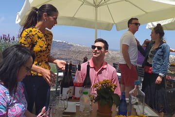 Santorini Wine Tasting Tour in Kamari and Megalochori