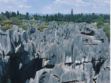 Kunming: Stone Forest, Roast Duck Lunch and City Tour