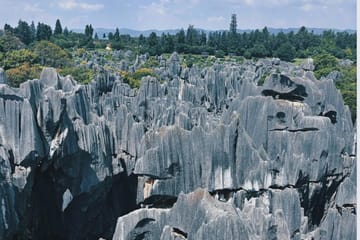 Kunming City Tour with Stone Forest and Roast Duck Lunch