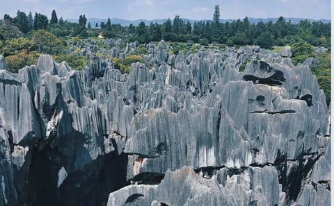 Kunming City Tour with Stone Forest and Roast Duck Lunch