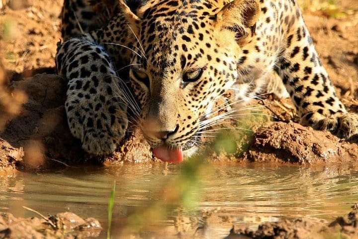 8 Nights in Marvelous Sri Lanka