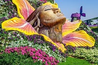 Dubai Miracle Garden with private round trip transfers 5