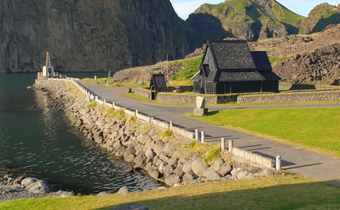 Private Tour of Westman Islands: Volcanoes and Wildlife from Reykjavík