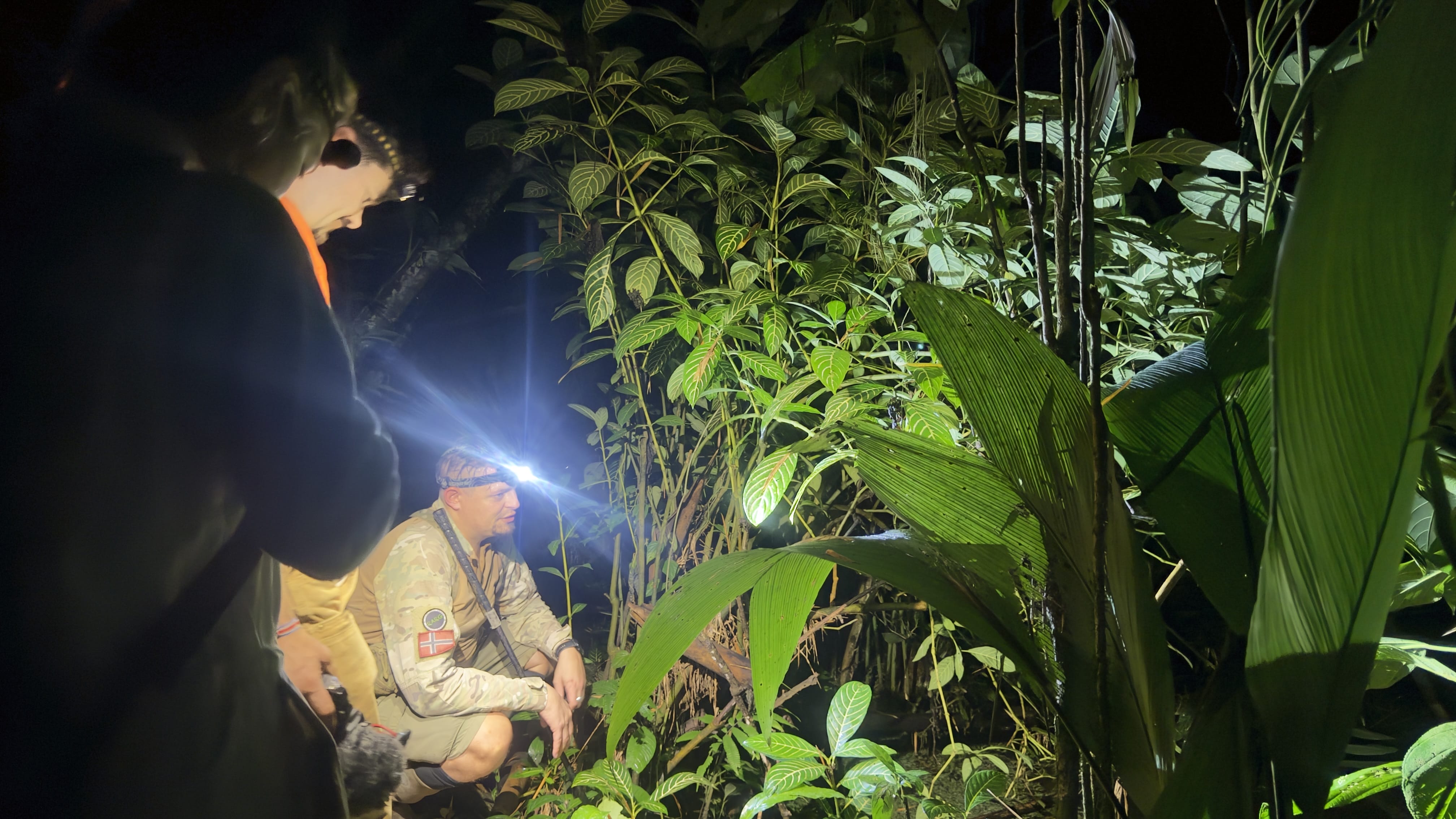 Biologist guide pointing out frogs to guests during a rainforest night wildlife tour near Puerto Viejo, Costa Rica.