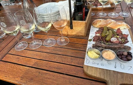 Cape Town Table Mountain, Kirstenbosch, and Constantia Tour