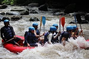 Bali Ayung River Rafting with Lunch and Optional Transfers