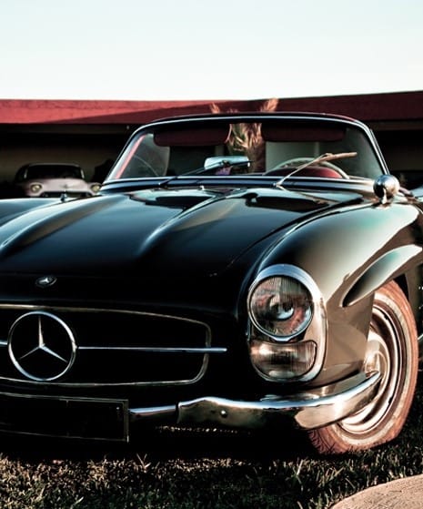 ½ Day : 1930’s Gentelman Vintage Car Ride & Camel Ride in Mythical Palm Groves | Private & Luxury 8