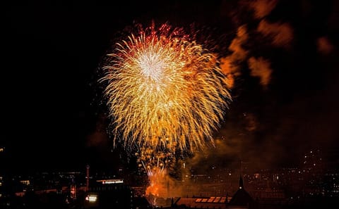 Copenhagen Walking Tour with Tivoli Gardens Christmas Market