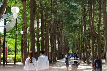 Nami Island and Petite France – Filming location