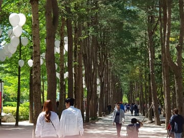 Nami Island