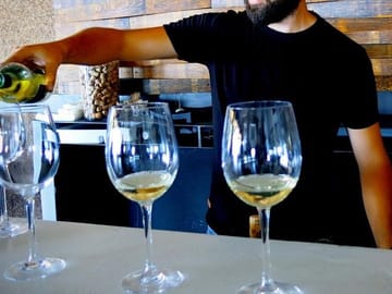 Discover the grape varieties & wines of Cyprus!