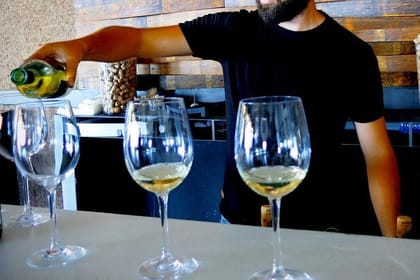 From Paphos: Troodos Vino Venture – Mountain Villages & Wineries Tour (8-9hrs)