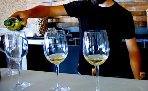 Troodos Vino Venture: Wineries and Villages Tour from Paphos