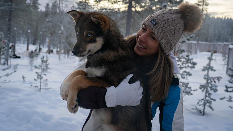 Husky Safari 10 km, photo 3