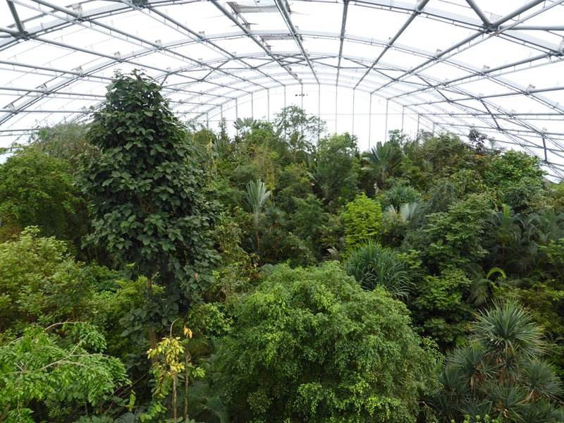 Zurich for families: the zoo and the Masoala rainforest
