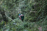 Mount Merapi: A Serene Soft Trek Through Botanic Villages Tour 7