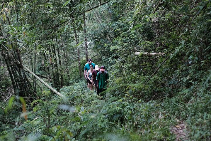 Mount Merapi: A Serene Soft Trek Through Botanic Villages Tour 7