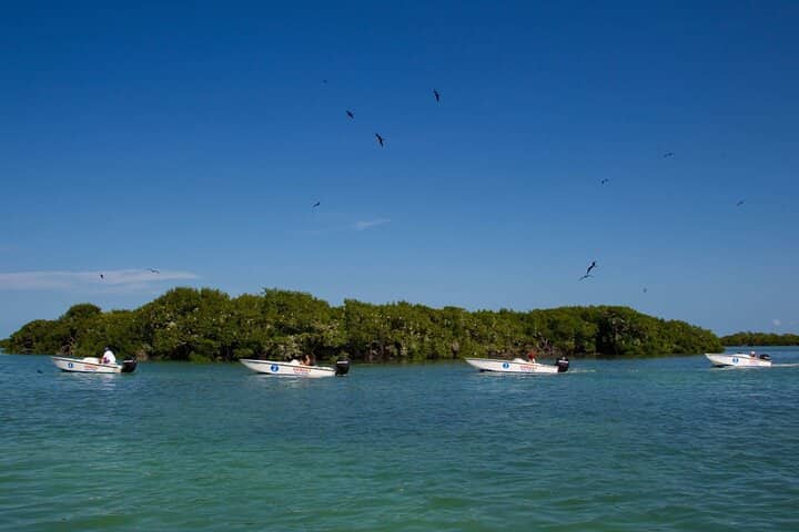 Key West Safari Eco Boat Tour