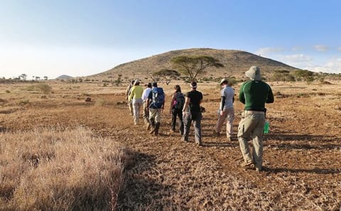 12-Days Grand Traverse – Kilimanjaro Climb