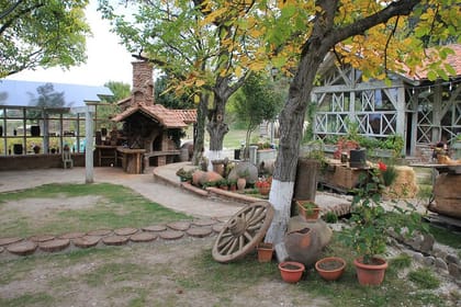 City of Love Sighnaghi, Kindzmarauli Corporation, Wine tasting