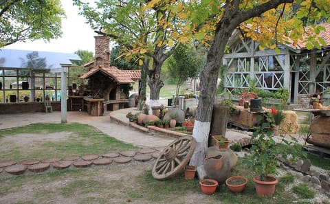 Wine Tasting and Cultural Tour in Sighnaghi, Georgia
