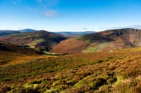Glendalough, Wicklow and Kilkenny Tour from Dublin including Sheepdog Trails 8