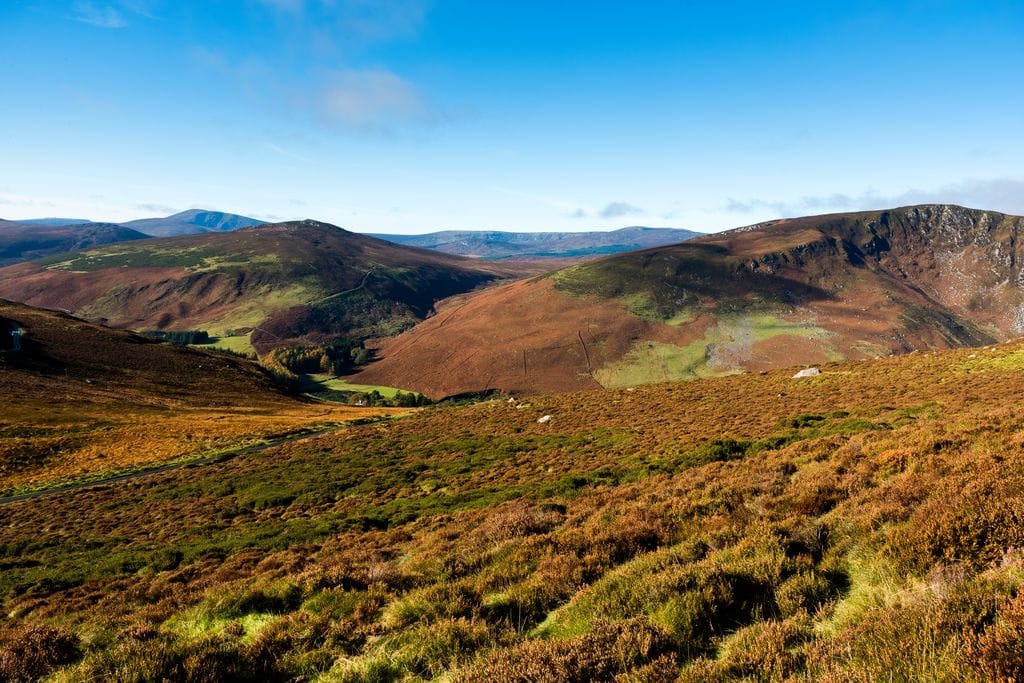 Glendalough, Wicklow and Kilkenny Tour from Dublin including Sheepdog Trails 8