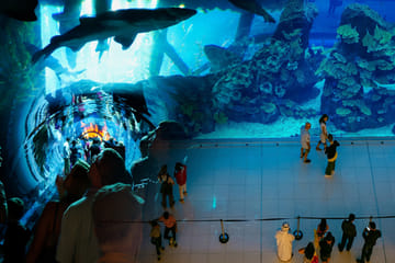 Burj Khalifa Visit, Dubai Mall Shopping, and Dhow Dinner Cruise