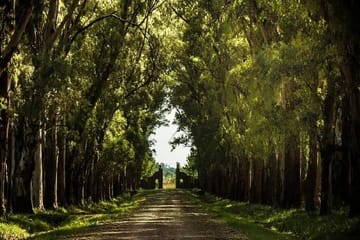 4-Day Adventure Trip in Buenos Aires