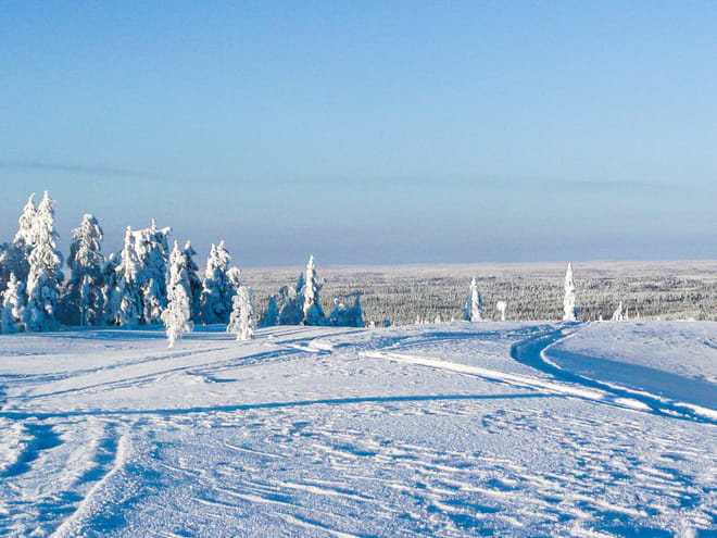 Snowmobile Safari in the Forest - Kemi photo 3