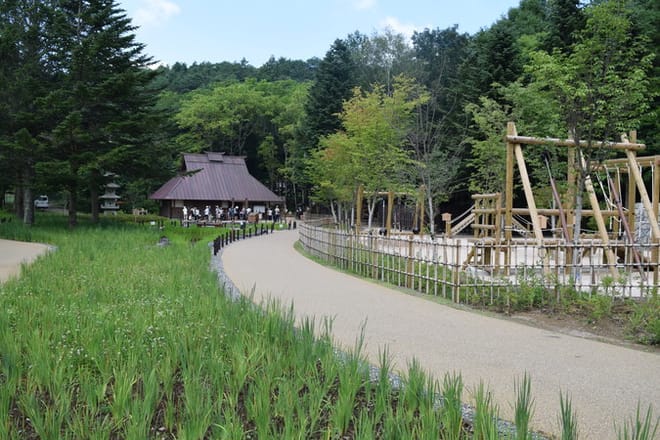 Mt. Fuji and Hakone 1-Day Bus Tour from Tokyo photo 5