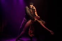Rojo Tango Dinner and Tango Show with Private Transfers 5
