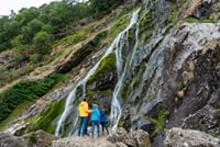 From Dublin: Wicklow, Glendalough, Waterfall & Sheepdog demo 1