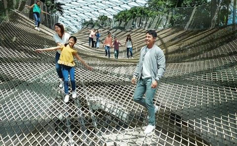 Walking Net Adventure and Canopy Park Access at Jewel Changi Airport