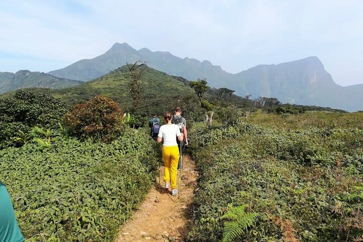 Knuckles and Wasgamuwa Trails from Kandy 9